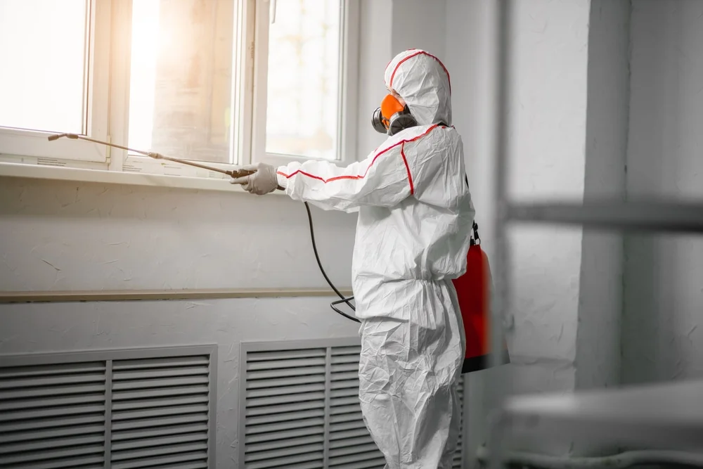 Professional mold remediation services in Eagle, NE